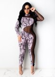 Sexy Mesh Stitching Printed High Collar Long Sleeves Skinny Jumpsuit A7159