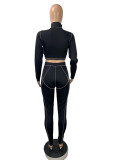Sexy Hollow Out High Collar Long Sleeves Cropped Top With Trousers Two Pieces Sets CY1307