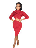 Sexy Knitting High Collar Long Sleeves Cropped Top With Mini Skirt Two Pieces Sets L0337