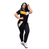Plus Size Contrast Stitching V-Neck Short Sleeves Top With Trousers Two Piece Sets  ONY5073