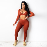 Sexy V-Neck Long Sleeves Cropped Top With Trousers Two Pieces Sets  YF8877