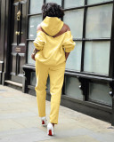 Fashion Solid Color Zipper Long Sleeves Hooded Sweater With Trousers Two Pieces Sets  FSL111