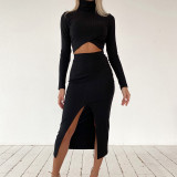 Fashion Knitted High Collar Long Sleeves Tops With Midi Skirt Two Pieces Sets  K20S09080
