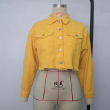 Fashion Hole Turn-Down Collar Long Sleeves Short Denim Jacket  WY7318-1
