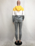 Casual Embroidery Long Sleeves Hooded Sweater With Drawstring Trousers Two Pieces Sets  R6166