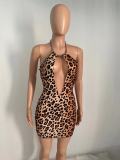 Sexy mesh stitching leopard print tie dress Q21Y800