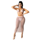 Sexy mesh bikini skirt suit TRS1125