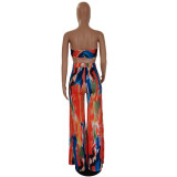 Summer new style printed tube top sexy two-piece suit DY6649