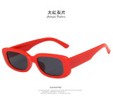 Small frame sunglasses simple square KD9074