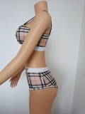 Women's Sexy Swimsuit Striped Printed Swimsuit Two Piece Set FFD1107