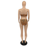 Tiger skin pattern sexy fashion casual swimsuit new two-piece suit FM2030