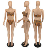 Tiger skin pattern sexy fashion casual swimsuit new two-piece suit FM2030
