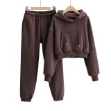 Autumn and winter models plus velvet pocket hooded short sweater women + solid color high waist loose leggings harem trousers two-piece suit