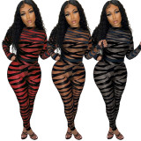 New product striped print see-through mesh sexy jumpsuit