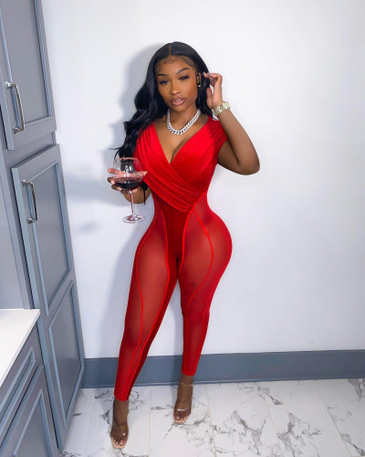Mesh Korean Velvet Panel Jumpsuit
