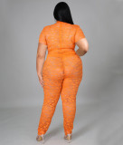 Large size spring and summer short-sleeved see-through nightclub lace two-piece suit
