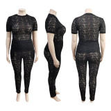 Large size spring and summer short-sleeved see-through nightclub lace two-piece suit