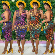 Women's Printed Zip Dress