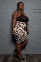 women's plus size colorblock dress