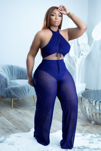 Women's Chiffon Pleated Sheer Halter Tank Top Women's Casual Outfit
