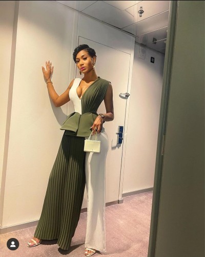 Sleek Ruffled Pleated Panel Jumpsuit