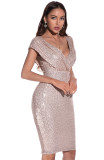 Deep V Neck Solid Sequin Dress