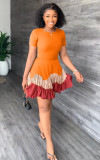 Colorblock Short Sleeve Pleated Dress