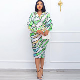 Plus Size Women's Printed Lapel Shirt Dress