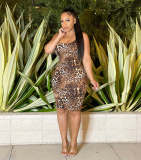 Fashion Leopard Print Sexy U-Shaped Backless Dress