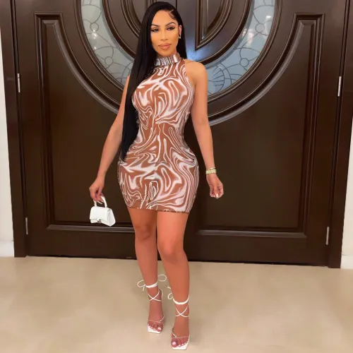 Mesh Print Sexy Skinny Stretch Dress