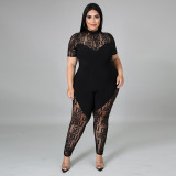Solid Color Perspective Polyester Mesh Large Size Zipper Jumpsuit Women's One Piece