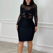 Mesh stitching perspective slim fit hip sexy dress