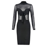 Mesh stitching perspective slim fit hip sexy dress