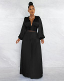Pleated sexy V-neck top wide leg pants casual suit