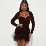 Sexy Perspective Hot Drill Dress Long Sleeve Feather Dress