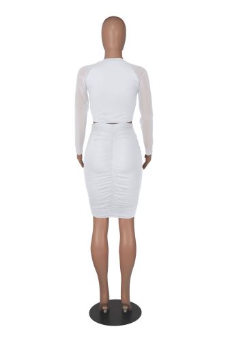 Sexy Mesh Long Sleeve Round Neck Dress Set