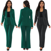 Solid suit, professional dress, sexy two-piece suit