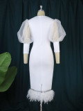 Mesh Perspective Lantern Sleeve Dress Personality Feather Hem Banquet Evening Dress