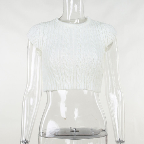 Slim and Slim fried dough twist Rough Woven Spicy Girls Top European and American Temperament Casual Versatile Backing Knit