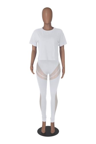 Women's fashion sexy perspective mesh pants solid color T-shirt two-piece suit