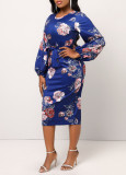Sexy and fashionable digital printing long-sleeved round neck women's dress