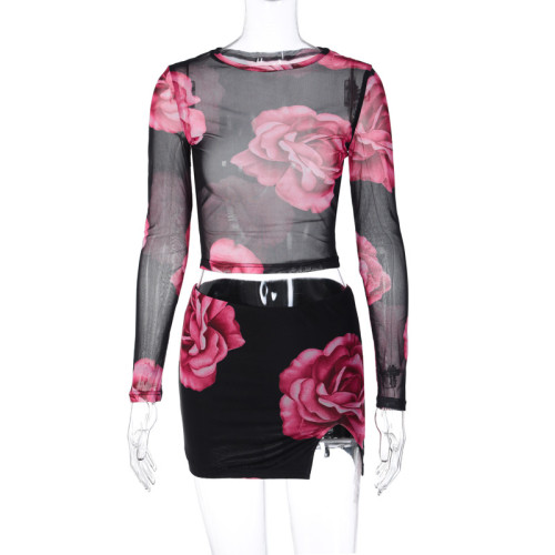 Two Piece Sexy Mesh Long Sleeve Top Slim Fit Short Split Printed Skirt Set