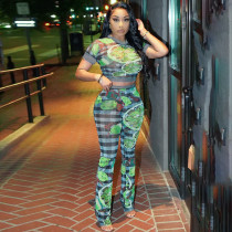 Mesh printed perspective short sleeved top and pants casual set