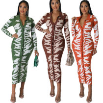 Temperament Women's Long Sleeve Dress Autumn New Printed Skirt