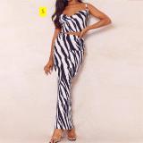 Printed Pleated Two Piece Slim Fit Long Dress Set for Women