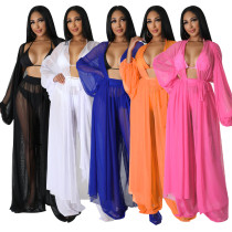 Women's Solid Color Bat Sleeve Sexy Perspective Long Sleeve Pants Set