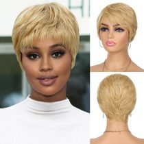 Qi Liu Hai Short Hair Wig