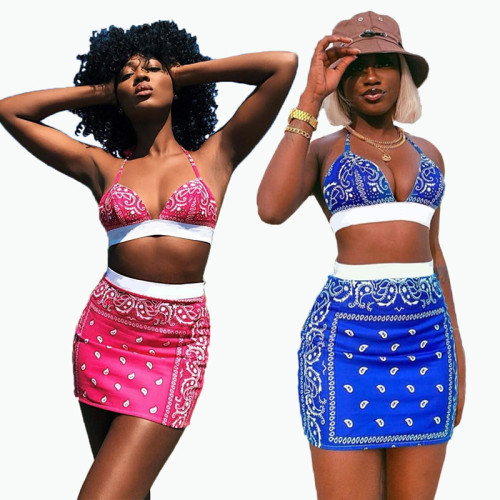 Two piece swimsuit short skirt set