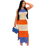 Perspective knitted mesh split contrasting color dress