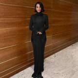 Half high neck long sleeved dress